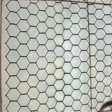 PVC Coted Hexagonal Wire Netting För Kyckling House